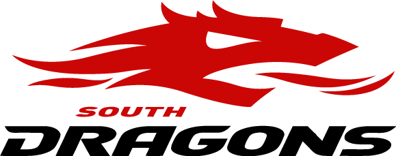 South Dragons 2006-2009 Primary Logo iron on transfers for clothing